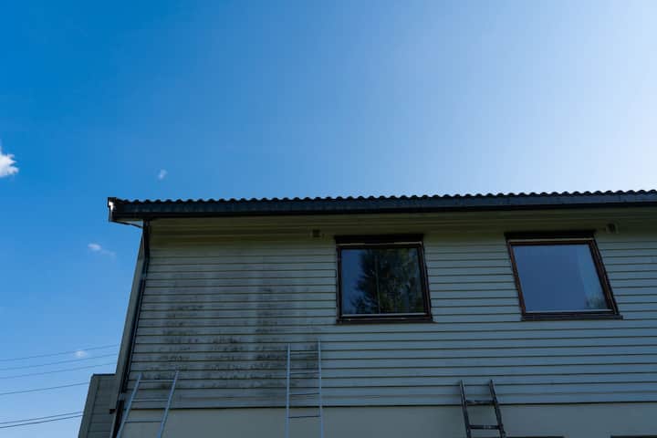 exterior mold removal services Bernardino